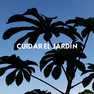 Cuidar el Jardín