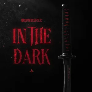 In The Dark
