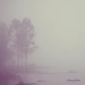 An Echo