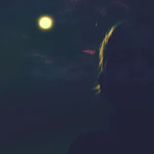 Long Ride {Ft. Shane Nicholson}