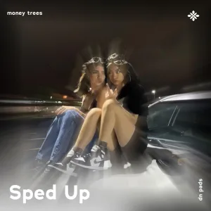 money trees - sped up + reverb