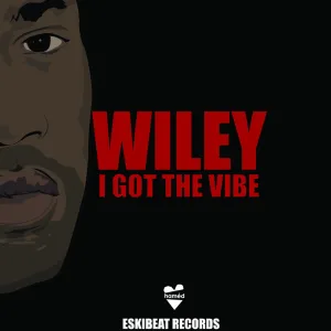 I Got the Vibe