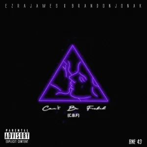 Can't Be Fucked (C.B.F)