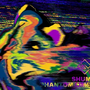 Phantom Limb