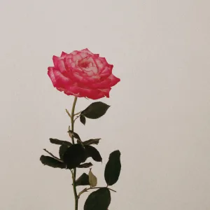 i miss you
