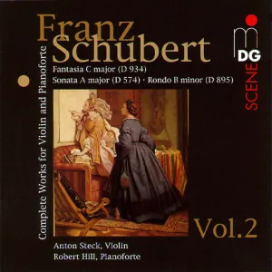 Rondo for Violin and Piano in B Minor, D. 895: Andante - Allegro