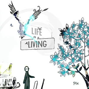 Life Cycle