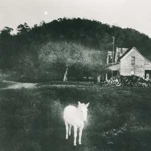 Album artwork for Movie by Garage Sale