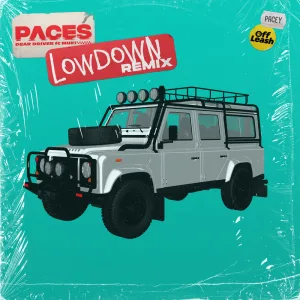 Dear Driver (Lowdown Remix)