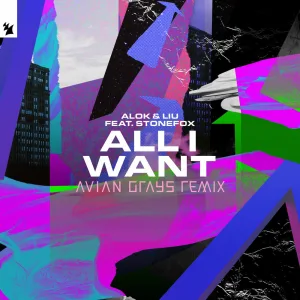 All I Want (AVIAN GRAYS Extended Remix)