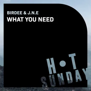 What You Need (Extended Mix)