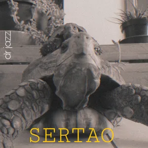 Sertao
