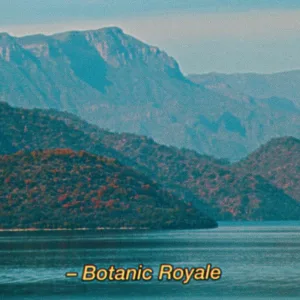 Botanic Mystery