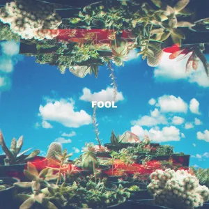 Fool