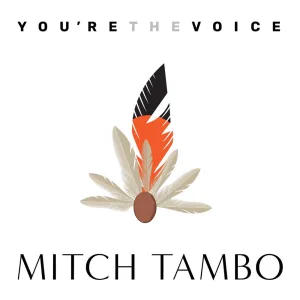You're The Voice
