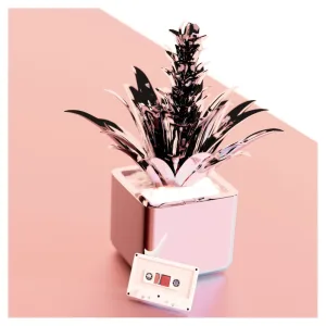 New Plant Day