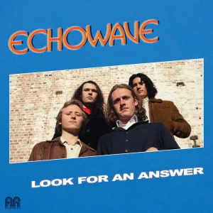 Look For An Answer