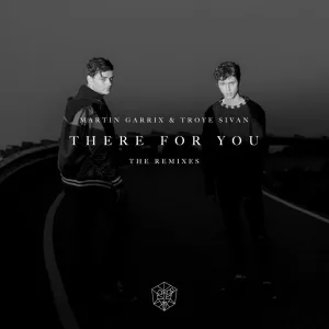 There For You (Vintage Culture & Kohen Remix)