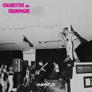 Stone's Throw Away by The Vandastruts