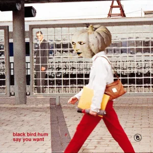 Say You Want