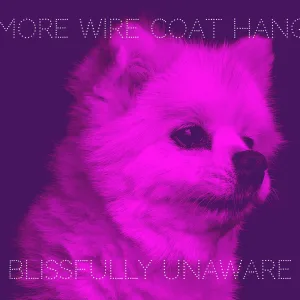 No More Wire Coat Hangers