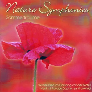 Symphonie der Sinne (Original Mix)