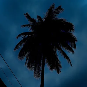 Shit like Joji