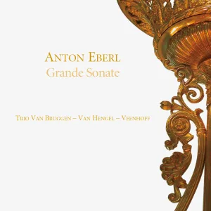 Trio in E-Flat Major, Op. 36: I. Andante maestoso - Allegro con spirito