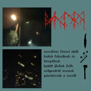 Szögesdrót szemek pásztázzák a mezőt