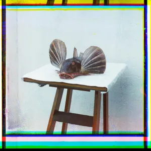 Song 9 (Harriet Midivkin)