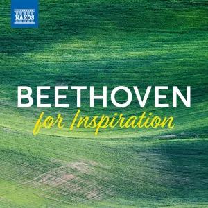 Violin Concerto in D Major, Op. 61: III. Rondo. Allegro (Excerpt)
