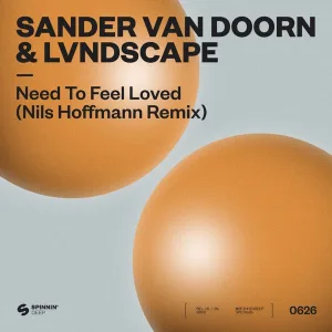 Need To Feel Loved - Nils Hoffmann Extended Remix