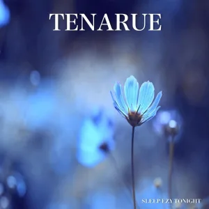 Tenarue