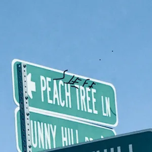 Ride Or Die Mrs.Peachtree Queen