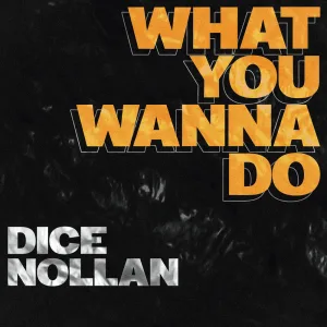 What You Wanna Do