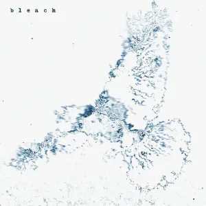 Bleach