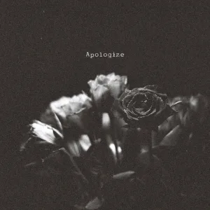 Apologize