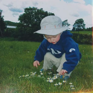 Chasing Daisies