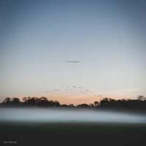 Morning Birds