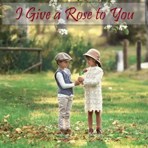 I Give a Rose to You
