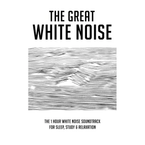 The 1 Hour White Noise Soundtrack for Sleep, Study & Relaxation