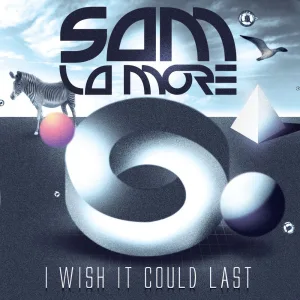 I Wish It Could Last (Hook n Sling remix)
