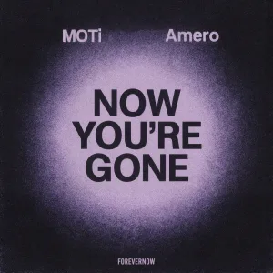 Now You're Gone