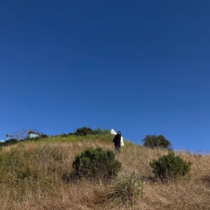 Like a Knife