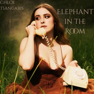 Elephant in the Room
