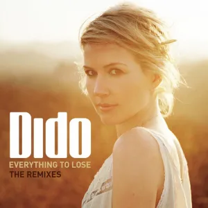Everything to Lose (ATFC remix)