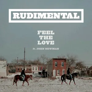 Feel the Love (feat. John Newman) (Patrick Hagenaar Remix)