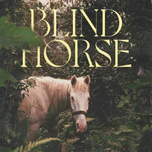 Blind Horse