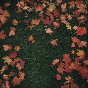 October