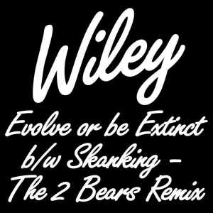 I'm Skanking (The 2 Bears remix dub)